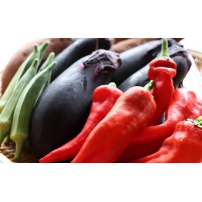 ふるさと納税 京都市 【緑のゆうき】お申込頂いた野菜の売上の1%が社会への応援に　京都産こだわりの野菜のセット |  | 02