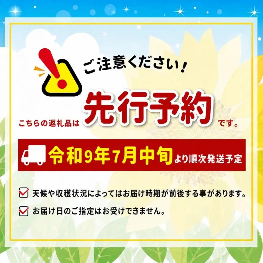 【2027先行予約】 南信州産 桃 約3kg〈 あかつき ・ 白鳳 〉【2027年7月中旬～順次発送予定】| 丸中中根園