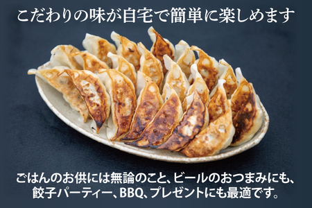 【お試しサイズ】蓮根肉餃子のおばけん【20粒】【野菜 ギョーザ れんこん しゃきしゃき おいしい 食べきり 茨城県 鹿嶋市】（KBU-19）