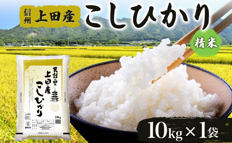 令和6年産 長野県 信州 上田市産 こしひかり 10kg×1袋 計10kg 精米 白米 ブランド米  銘柄米 コシヒカリ ご飯 ライス お弁当 おにぎり 主食 国産 日本産 和食 お取り寄せ