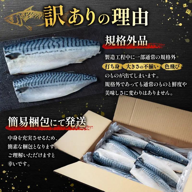 鯖 訳あり 5kg 塩鯖