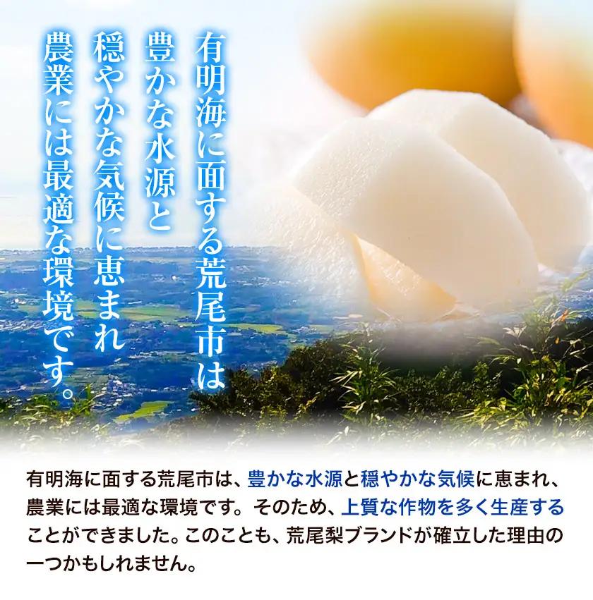 梨 定期便 荒尾梨 4kg × 2回
