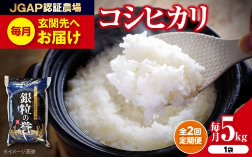 【全2回定期便 産地直送 特産品】 【令和7年産米】 米 こしひかり 5kg コシヒカリ 米 5キロ ５キロ ５ｋｇ 小分け お米こめ おこめ コメ 白米 国産 令和7年 ごはん ご飯 精米 精白米 お歳暮 定期便 産地直送 特産品 送料無料 精米 食卓 主食 食事 料理 自炊 お弁当 おむすび 朝食 粘り おいしい 美味しい 定期便 産地直送 特産品 三次市/アグリ君田[APDC003]