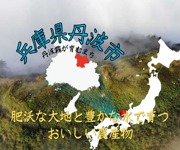 丹波栗 3L以上 2kg 〈丹波市産〉 大粒栗 果物