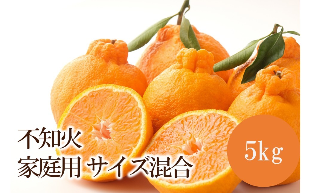 
                  不知火家庭用(サイズ混合) 5kg
                