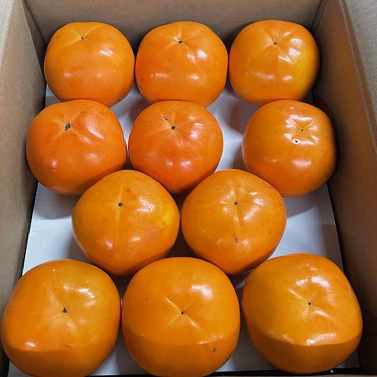 【ふるさと納税】富有柿の新品種「紀州てまり」約7.5kg（22玉～32玉おまかせ）★2026年11月頃より順次発送［TM87］ | 柿 かき フルーツ 果物 くだもの 食品 人気 おすすめ 送料無料