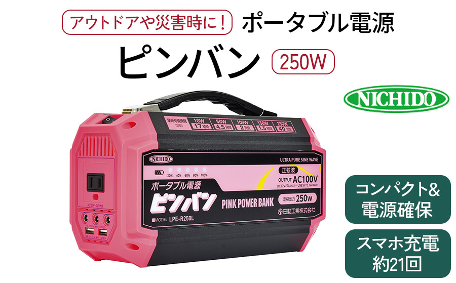 ポータブル電源ピンバン 250W