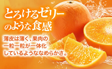 【11月下旬から順次発送】紅まどんな 赤秀 8個-12個入 柑橘 紅まどんな みかん 果物 フルーツ[AGBA002]