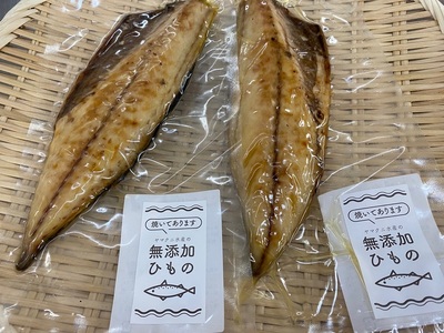 【焼津ひもの食堂】焼いてあるとろさばひもの10枚 (a15-669)
