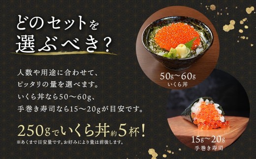 北海道産 いくら醤油漬け80g×6コ入り×1箱 小分け 【配送日時指定可能】 国産 しょう油 イクラ ikura 鮭 鮭卵 鮭いくら 魚卵 冷凍 配送月指定 配送月を選べる 配送時期 発送月が選べる 