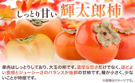 【先行予約】かき 柿 梨 なし 輝太郎柿と旬の梨セット 秀品 約3kg《10月上旬-10月末頃出荷》 鳥取県 八頭町 果物 くだもの フルーツ セット 高間商店 送料無料