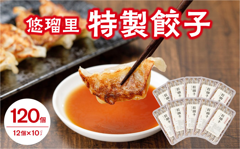 
            悠瑠里特製餃子120個【宮崎市は餃子購入頻度ランキング ２年連続第１位_M293-002
          