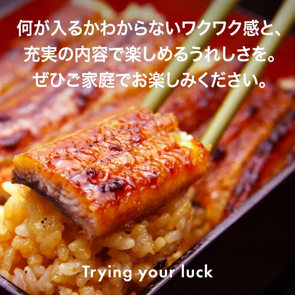 国産 うなぎ 蒲焼き ガチャ 福袋 500g入 うなぎ 鰻 (B1154-1)