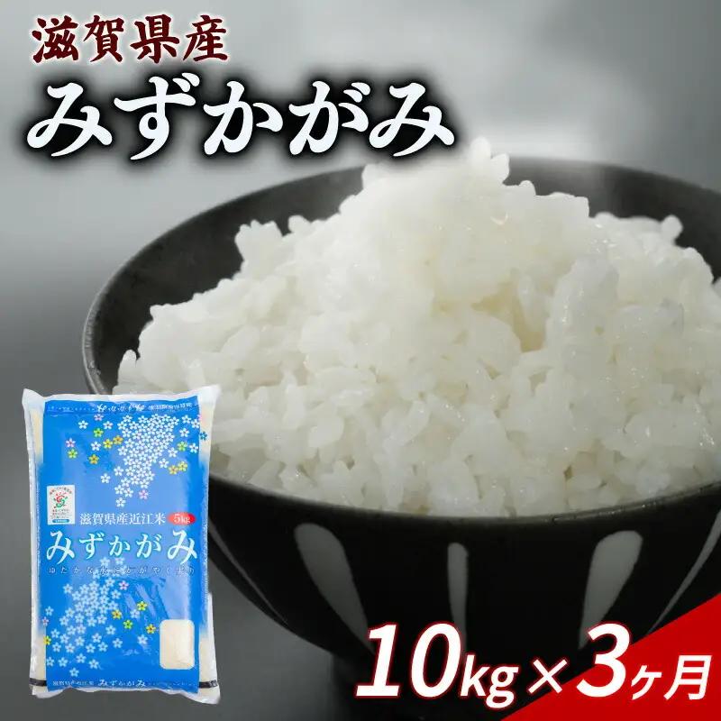 【3ヶ月定期便】みずかがみ 10kg 令和7年産 ミズカガミ 定期便 お米 米