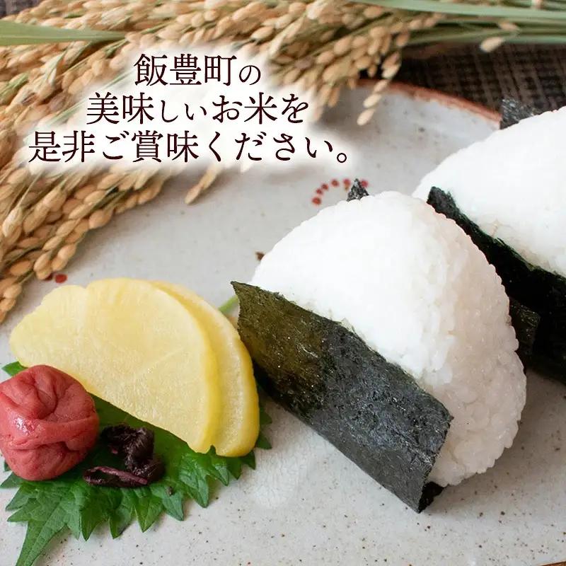 人気のブランド米 はえぬき 白米 10kg 令和7年産 - 山形県 飯豊町産 米 精米 銘柄 ブランド米 田園サービスいいで【価格改定X】