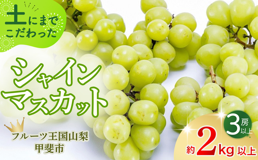 【2025年発送】土にこだわったシャインマスカット 2kg 3房以上 先行予約 山梨県産 国産 産地直送 人気 おすすめ 贈答 ギフト お取り寄せ フルーツ 果物 くだもの ぶどう ブドウ 葡萄 新鮮