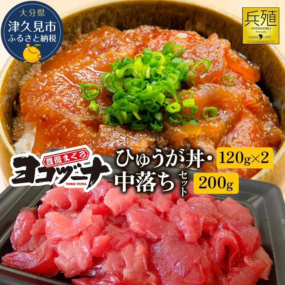 本マグロ ヨコヅーナ 中落ち・漬け丼 セット | 本マグロ 津久見市