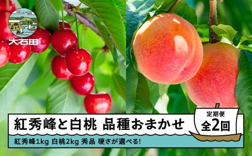 
                  【先行予約】2回定期便 紅秀峰1kg×白桃2kg さくらんぼ 白桃 品種おまかせ 選べる定期便 山形県産 2026年産 令和8年産 フルーツ 果実  ry-ft2bhx
                
