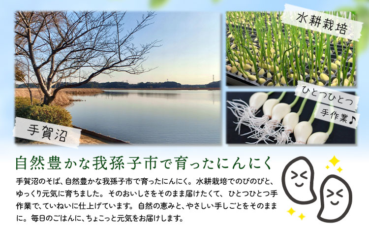 むきにんにく  5袋 株式会社ANELA GROW 《30日以内に出荷予定(土日祝除く)》千葉県 我孫子市 にんにく 水耕栽培  ギフト 送料無料