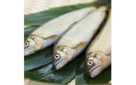 鮎 甘露煮 6匹（袋入り） セット ／ 宮川物産 あゆ 和食 お取り寄せグルメ お惣菜 惣菜 総菜 魚 川魚 香魚 おつまみ おかず 魚の甘露煮 ご飯のお供 ごはんのおとも ご自宅用 家庭用 ギフト 