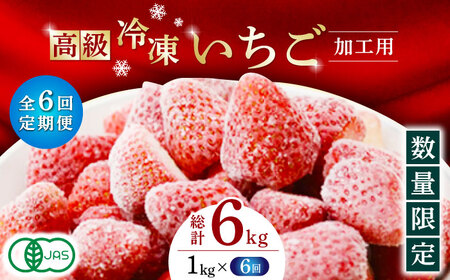 【6回定期便】【数量限定】高級 冷凍  いちご 加工用 約1kg（約500g×2袋）【伊藤農園】 果物 フルーツ イチゴ いちご 苺 熊本県 特産品 オーガニック 有機 恋みのり 冷凍 いちご 冷凍いちご 定期 [ZBB016]
