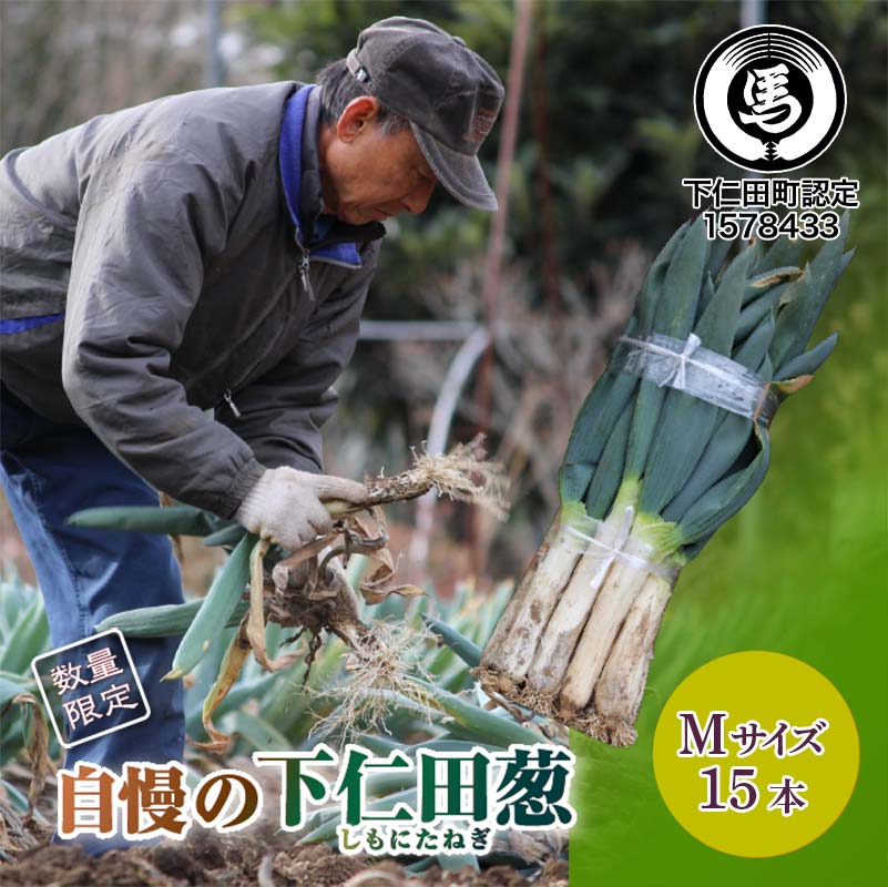 【ふるさと納税】自慢の下仁田葱（Mサイズ 15本） とろける 甘い ねぎ ネギ 葱 王様ねぎ 殿様ねぎ 特産 栄養たっぷり ブランド 上州ねぎ すきやき F21K-560