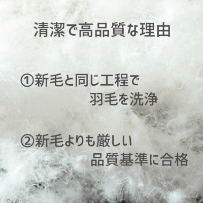 ザ・羽毛布団 リサイクルダウン クイーン 210×210cm 羽毛 掛け布団 立体キルト【1447533】