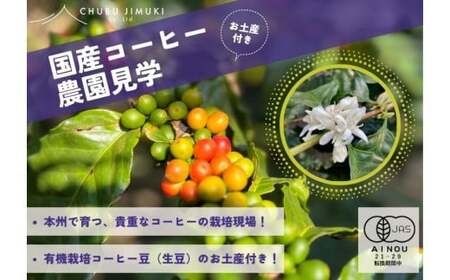 989　有機栽培のコーヒー豆のお土産付き、コーヒー栽培ハウスの見学
