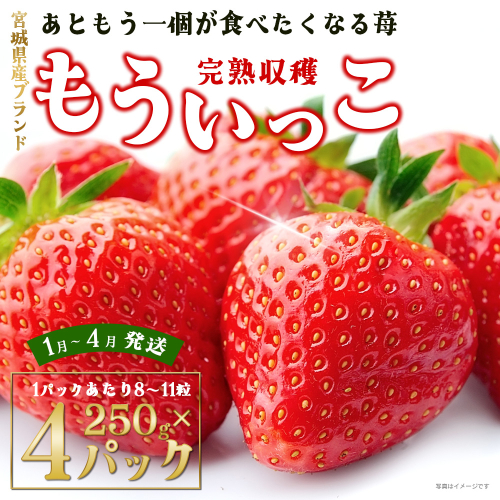 【完熟収穫】いちご　もういっこ　250g×4パック　【04324-0319】
