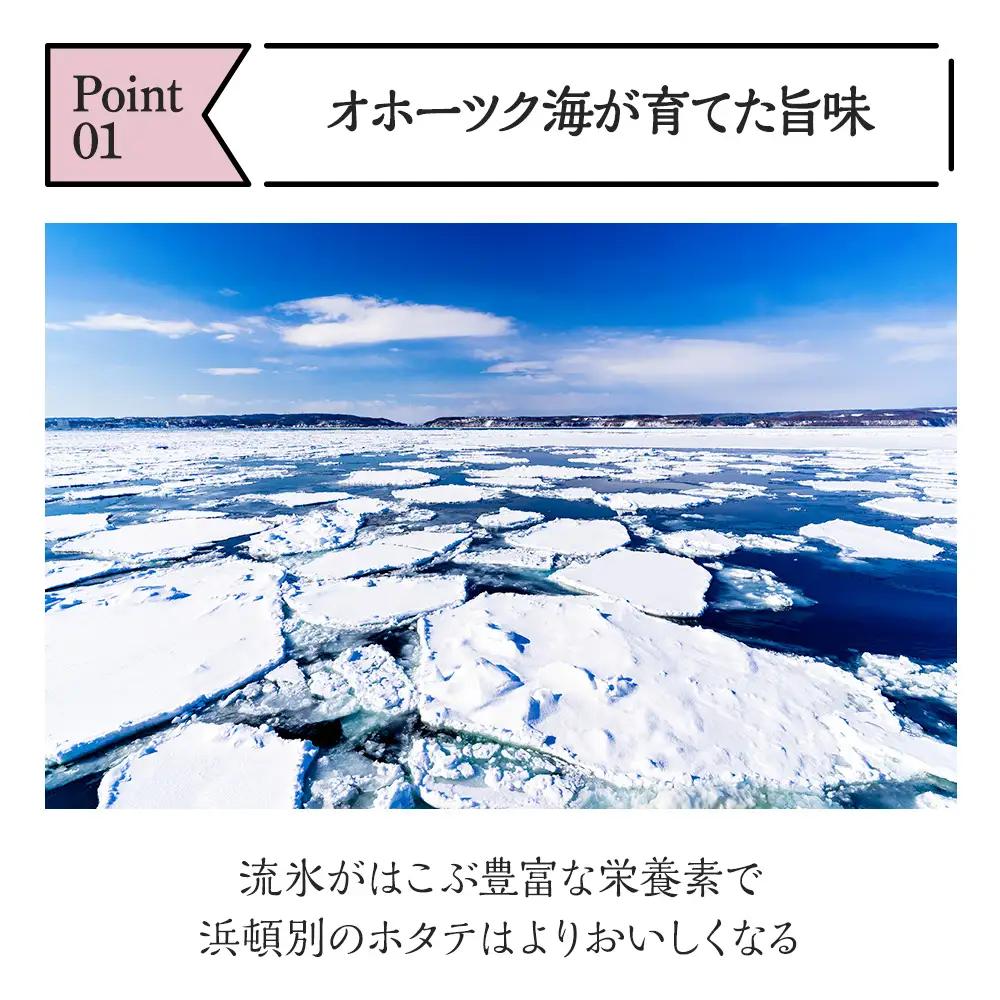 【1月下旬発送】 ほたて 貝柱 冷凍(15粒前後)200ｇ×3パック 小分け お取り寄せ 刺身 《横田水産》 北海道ホタテ ホタテ玉冷 刺身用 帆立 冷凍 刺身 オホーツク 海鮮 食品 北海道ふるさと