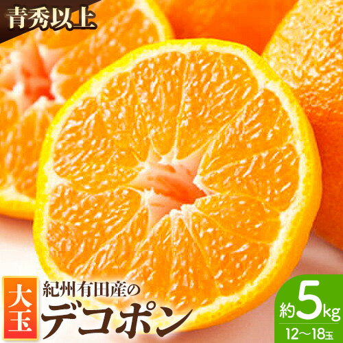 【ふるさと納税】 紀州有田産 デコポン 大玉 約5kg (12〜18玉入り) 青秀以上 厳選館 《2026年1月中旬-3月下旬頃より出荷予定》 和歌山県 日高町 送料無料 みかん 柑橘 柑橘類 ミカン でこぽん