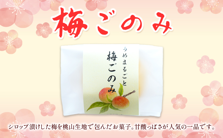 お菓子 和菓子詰め合わせ 15個 お菓子のよね村《30日以内に出荷予定(土日祝除く)》熊本県 長洲町 梅ごのみ 的ばかい 金魚もなか 送料無料st-p