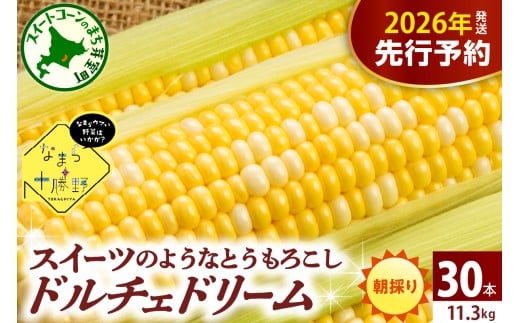 【先行受付】【2026年7月下旬～8月15日頃配送】】北海道十勝芽室町 なまら十勝野　ドルチェドリーム(30本) 　me001-044c-26