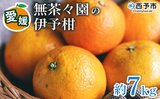 ＜無茶々園の伊予柑 約7kg＞ 【先行予約】果物 いよかん イヨカン みかん ミカン 蜜柑 柑橘 フルーツ 選べる内容量 期間限定 季節限定 特産品 愛媛県 西予市【常温】