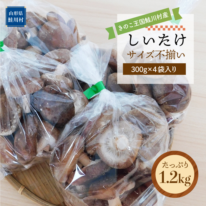 きのこ王国鮭川村産 ［しいたけ］ サイズ不揃い たっぷり1.2kg（300g×4袋入り）