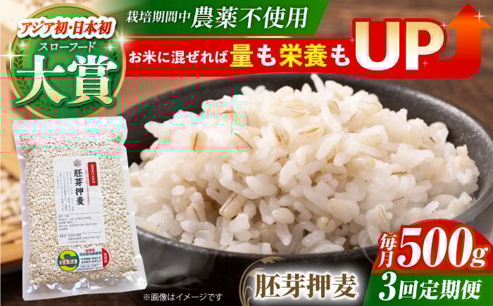 
            【全3回定期便】栽培期間中農薬不使用 胚芽押麦 500g ( 1等麦使用 ) 【葦農】[HAJ034] 麦 雑穀 雑穀米 麦ごはん 1等麦 特別栽培農産物 佐賀 食物繊維 500g ご飯
          
