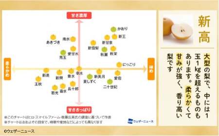 ※先行受付※【新高3kg】かまがや育ちの完熟梨（梨業組合）