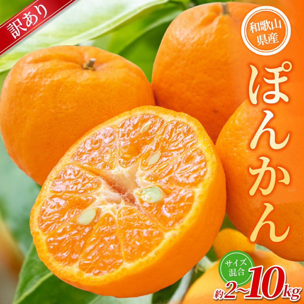 【ふるさと納税】【訳あり】手選別 ぽんかん 約2kg ~約10kg 和歌山県産 2S~2Lサイズ混合※2026年1月上旬～2月上旬頃に順次発送