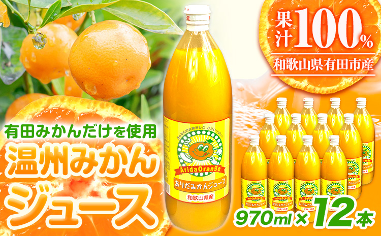 みかん ジュース 和歌山 有田産 100% 温州 みかん ジュース 970ml × 12本 セット 太千青果物《30日以内に発送予定(土日祝除く)》和歌山県 日高町 蜜柑 果汁 100％ ストレート 柑橘 果物 添加物不使用 送料無料---wsh_ts7_30d_23_40000_12h---