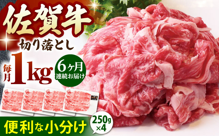 
            【全6回定期便】佐賀牛 切り落とし 1kg ( 250g×4パック )【山下牛舎】 [HAD154] 小分け 真空パック 黒毛和牛 牛肉 和牛
          