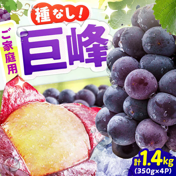 【ふるさと納税】【★先行予約★ 2025年7月下旬より発送】【ご家庭用】種無し巨峰　約350g×4パック　広川町 / JAふくおか八女農産物直売所どろや[AFAB086]