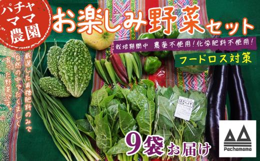 【 訳あり 】 お楽しみ野菜セット （ 9袋 ）【 フードロス対策 】【 野菜 詰め合わせ お任せ 訳あり フードロス 季節物 セット 山芋 パセリ かぶ 人参 里芋 たまねぎ 玉ねぎ ルッコラ ほうれん草 春菊 大根 芽キャベツ レタス じゃがいも さつまいも とうもろこし そら豆 枝豆 パクチー ビーツ ほうれん草 キャベツ ピーマン なすトマト かぼちゃ 】