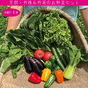 【ふるさと納税】 有機野菜・京野菜の『京都やおよし』の京丹後・亀岡市お野菜詰め合わせ 野菜 お野菜 京野菜 詰め合わせ ふるさと納税 野菜 セット