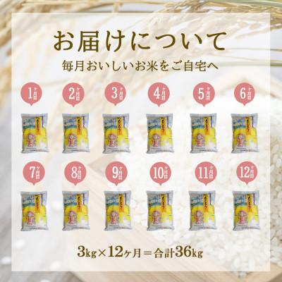 ふるさと納税 えびの市 【毎月定期便】えびの産 ひのひかり 3kg全12回 |  | 01