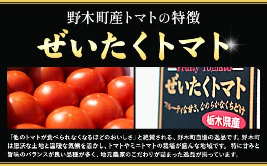 【先行予約】トマト ぜいたくトマト 約1.5kg 小箱 栃木県 野木町産 矢畑むらづくり組合 《2025年10月上旬-2026年5月末頃出荷》栃木県 野木町 トマト 野菜 新鮮
