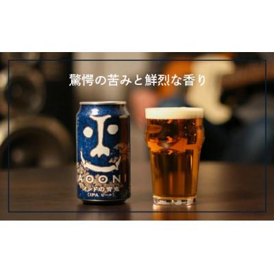 ふるさと納税 佐久市 【毎月定期便】【インドの青鬼】クラフトビール(お酒)48本　ヤッホーブルーイング全6回 |  | 01