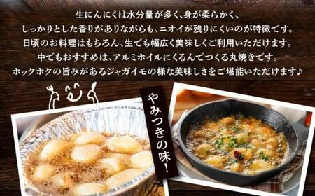 厳選大玉 生にんにく 約2.5kg【2026-5月上旬～2026-6月上旬配送】