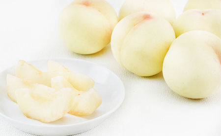 フルーツ 2026年 先行予約 晴れの国 岡山 の フルーツ 定期便 3回コース 桃 ぶどう 梨 岡山県産 国産 フルーツ 果物 ギフト デザート 白桃 シャインマスカット 大玉梨 あたご梨 