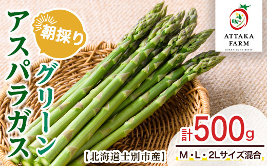 
            【A7081】＜特別栽培・期間限定＞北海道士別市産 朝採りグリーンアスパラ (M～2Lサイズ混合・500g) 【2025年5月から順次発送】野菜 アスパラ アスパラガス グリーンアスパラ 北海道 北海道産 国産 旬 産地直送 【あったかふぁーむ】
          