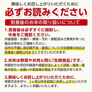 【令和7年産】 山形県庄内産 工藤さんの特別栽培米 つや姫無洗米 10kg （5kg×2袋）【令和8年3月2日～3月8日発送】 山形県鶴岡市 株式会社サンエイファーム